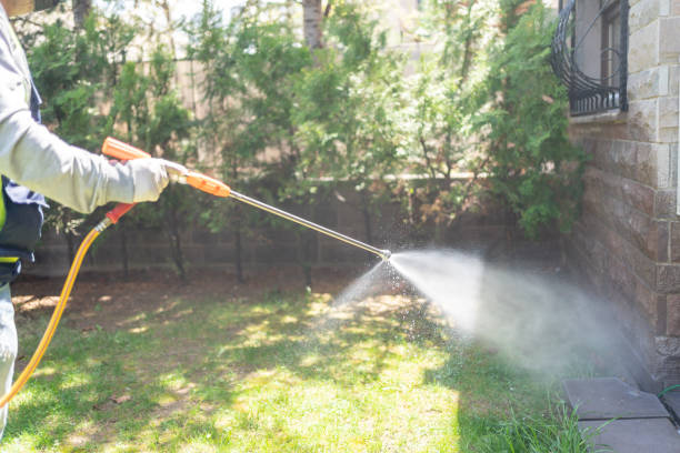 Best Mosquito Control  in Chinchilla, PA